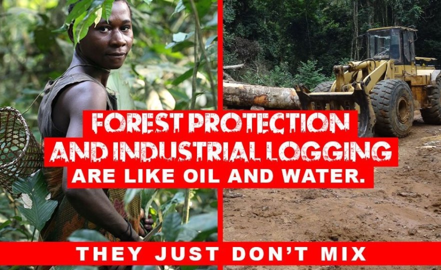 Congo-Kinshasa: COP26 – Landmark $500 Million Agreement Launched to Protect the DR Congo’s Forest
