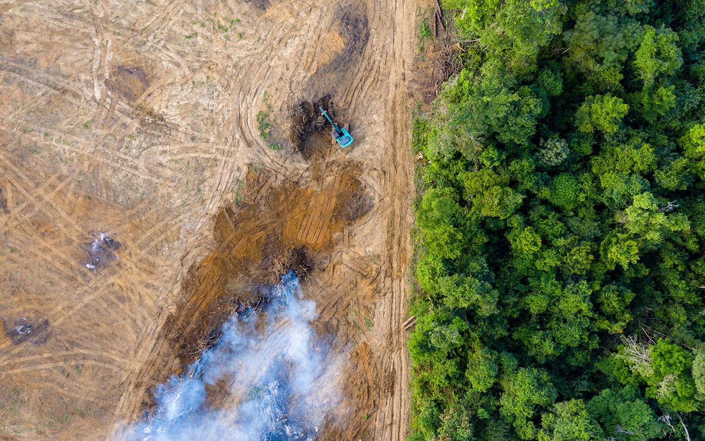 Protection des forêts : 1 milliard d’euros engagés par l’UE lors de la COP 26