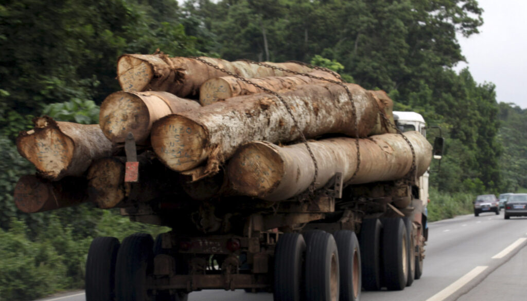 Congo Basin forests: Climate science needed to unlock its value